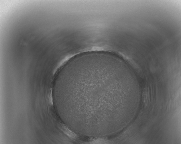 X0000061721262200512091951