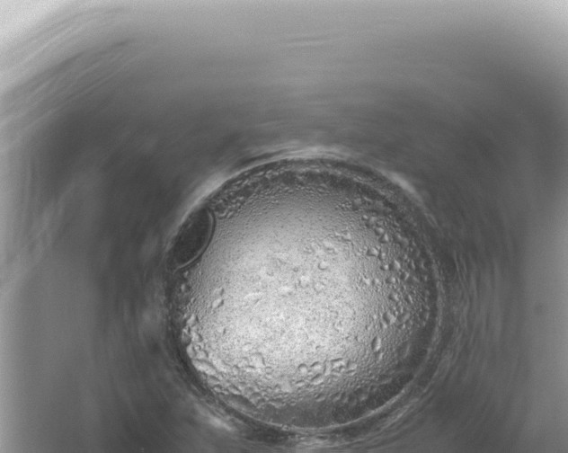 X0000061721263200512091951