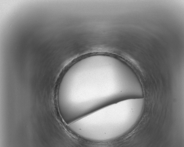 X0000061721264200512091951