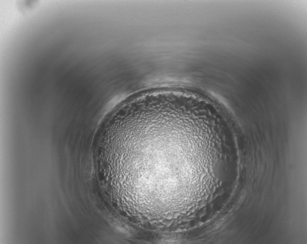 X0000061721267200512091951