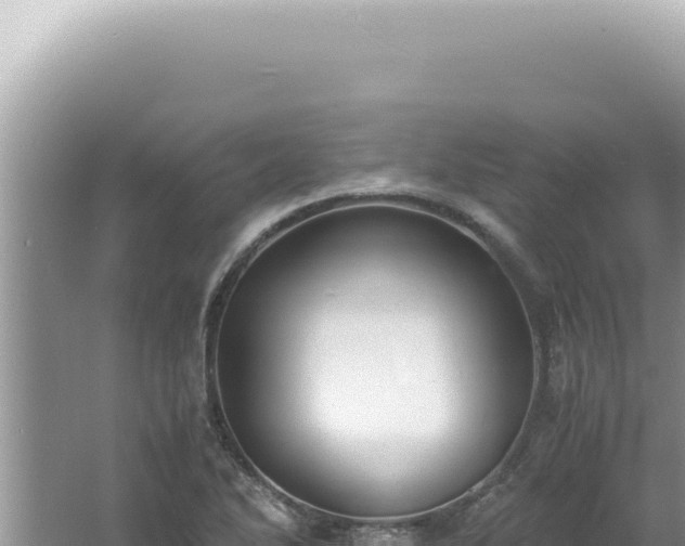 X0000061721270200512091951