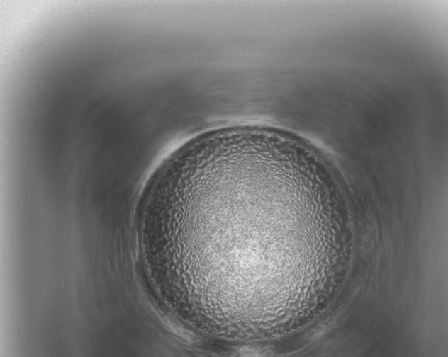 X0000061721271200512091951