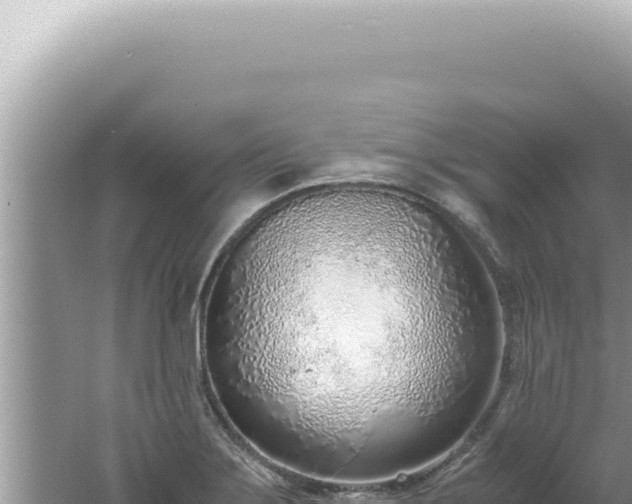 X0000061721275200512091951