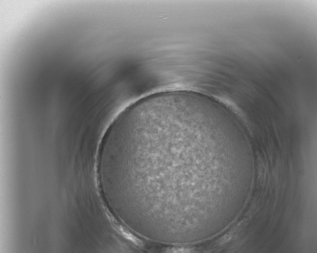 X0000061721278200512091951