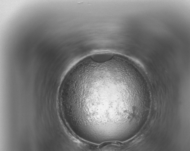 X0000061721279200512091951