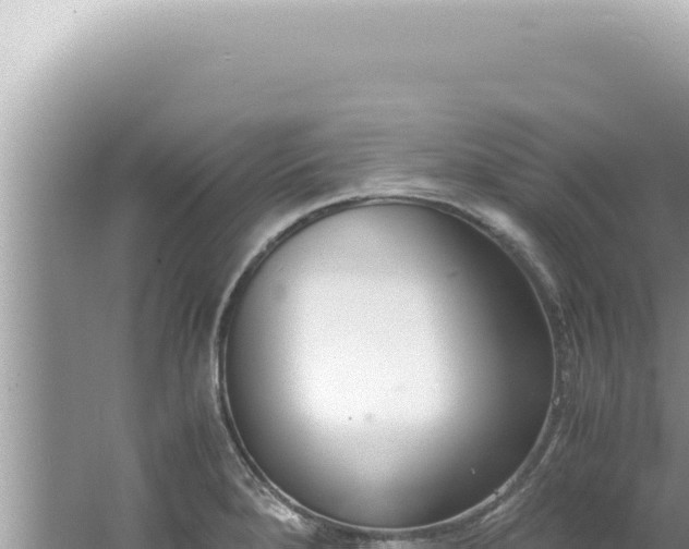 X0000061721280200512091951