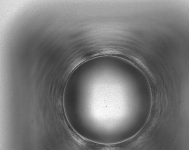 X0000061721281200512091951