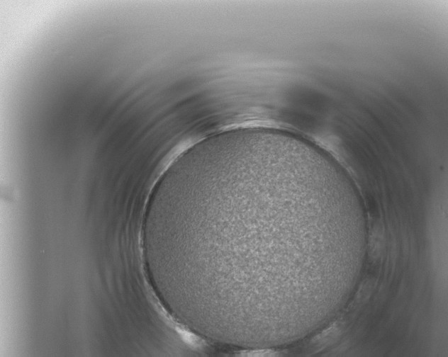 X0000061721282200512091951