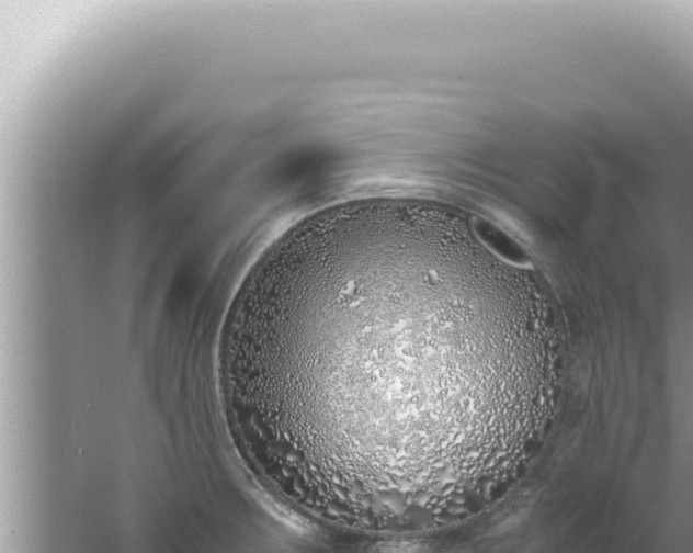 X0000061721283200512091951