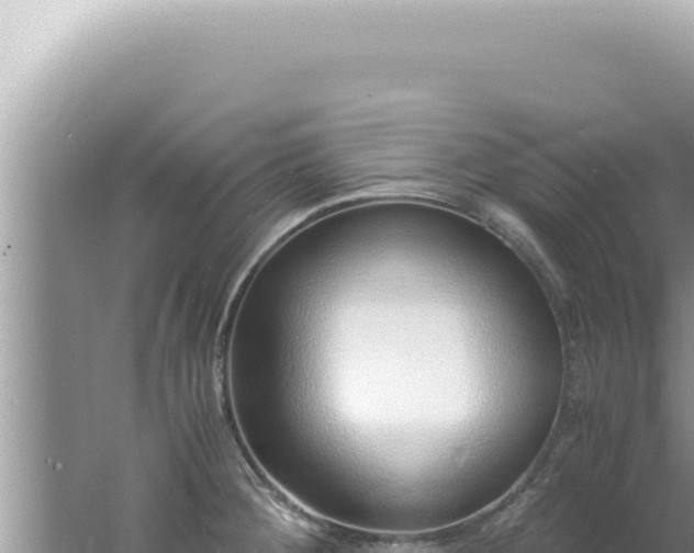 X0000061721284200512091951