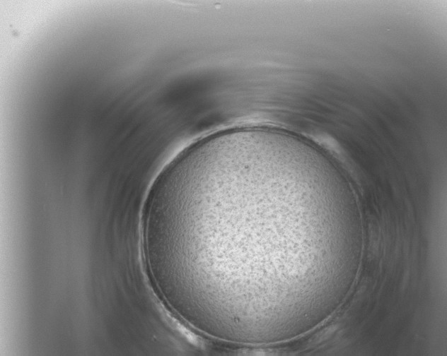 X0000061721286200512091951