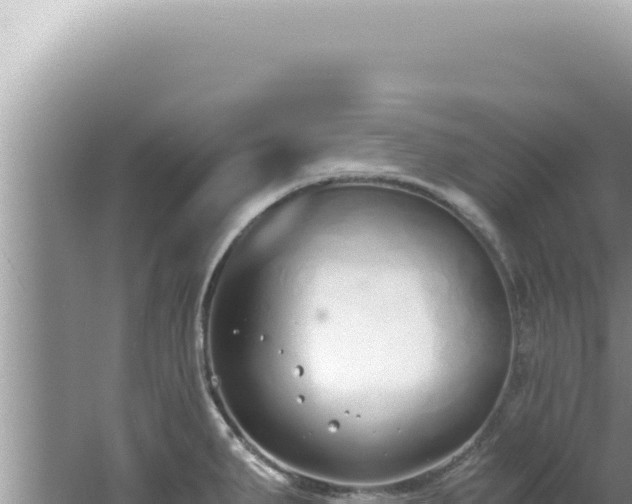 X0000061721287200512091951