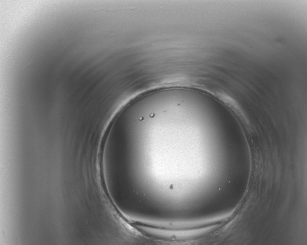 X0000061721288200512091951