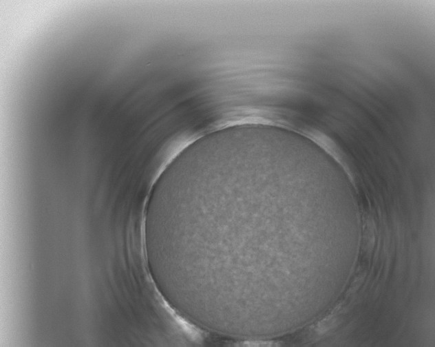 X0000061721290200512091951