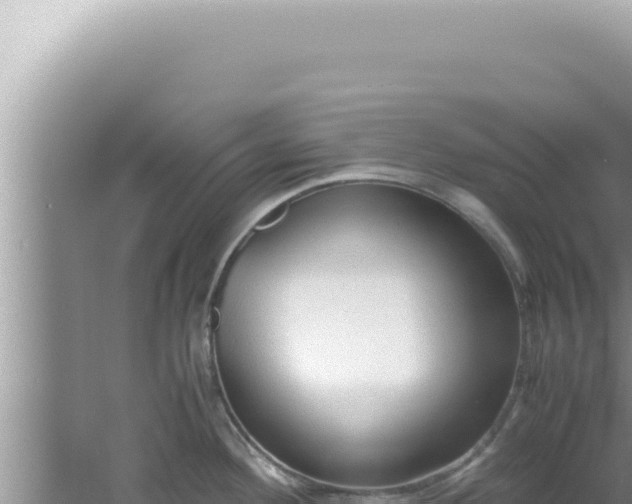 X0000061721292200512091950