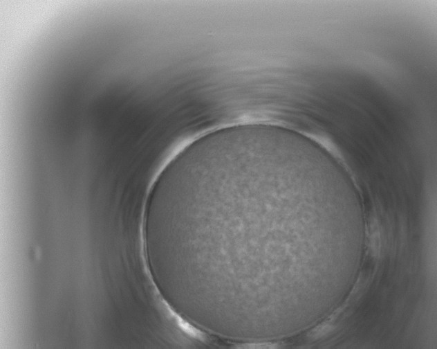 X0000061721294200512091950