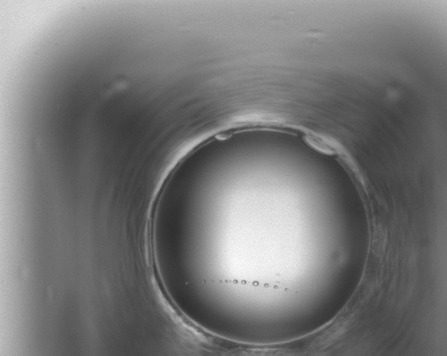 X0000061721295200512091950