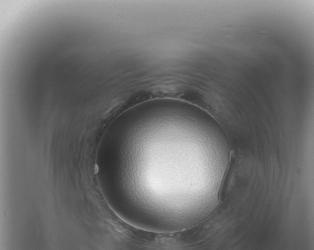 X0000061721297200512091950