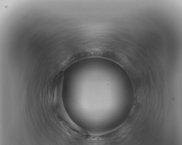 X0000061721298200512091950