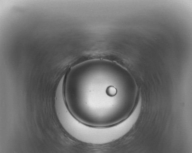 X0000061721300200512091950