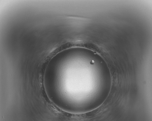 X0000061721301200512091950