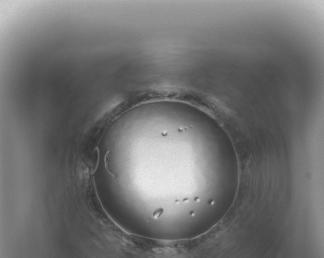 X0000061721302200512091950