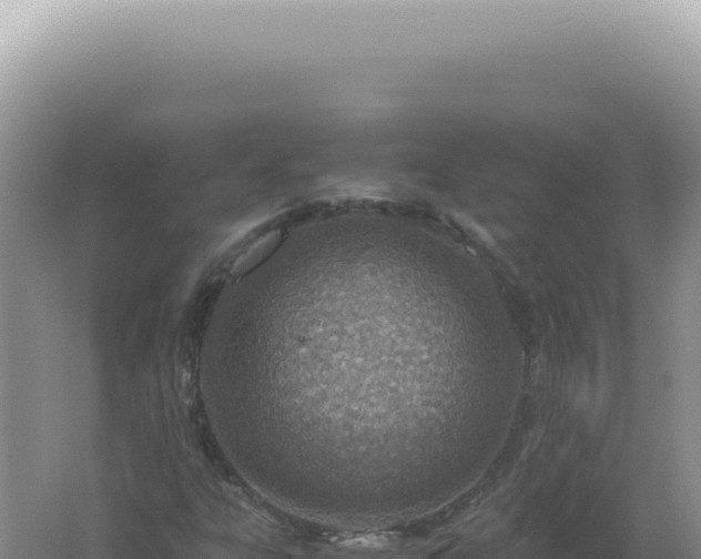 X0000061721303200512091950