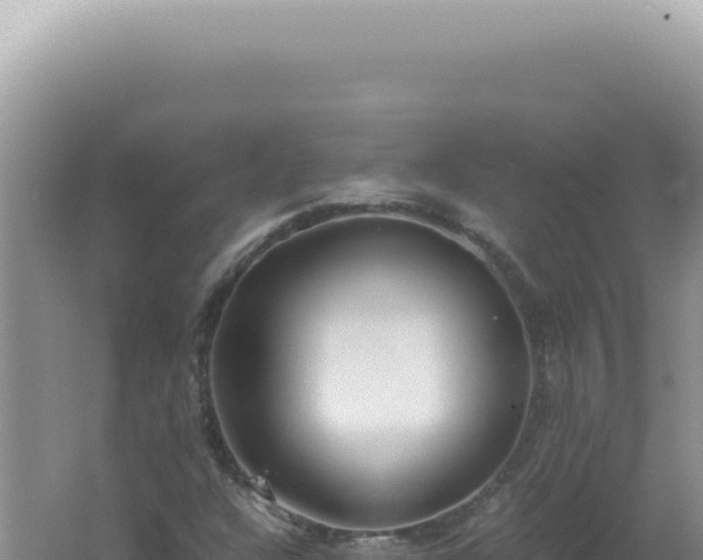 X0000061721304200512091950