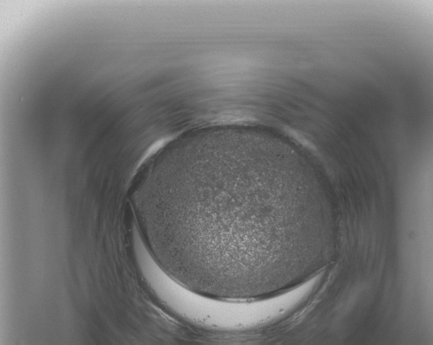 X0000061721306200512091950