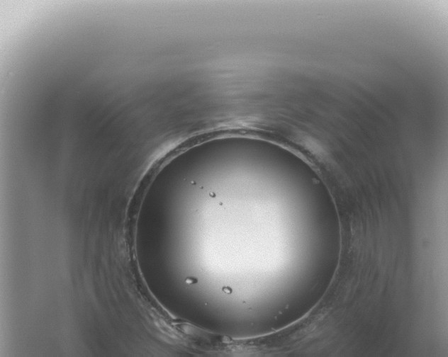 X0000061721308200512091950