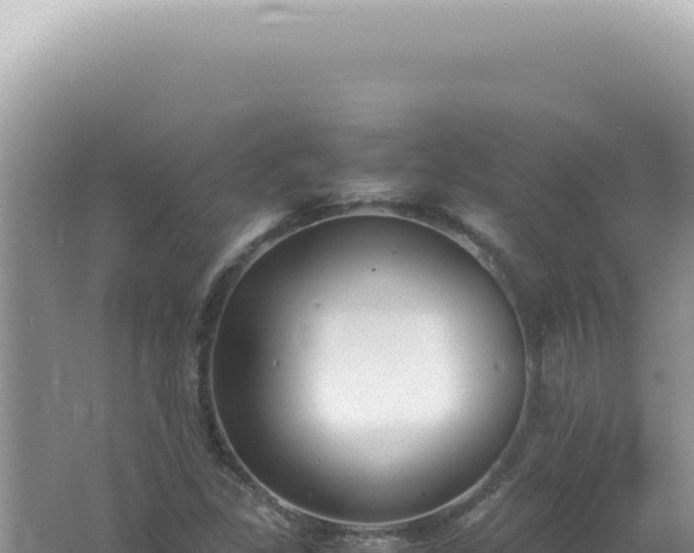 X0000061721309200512091950