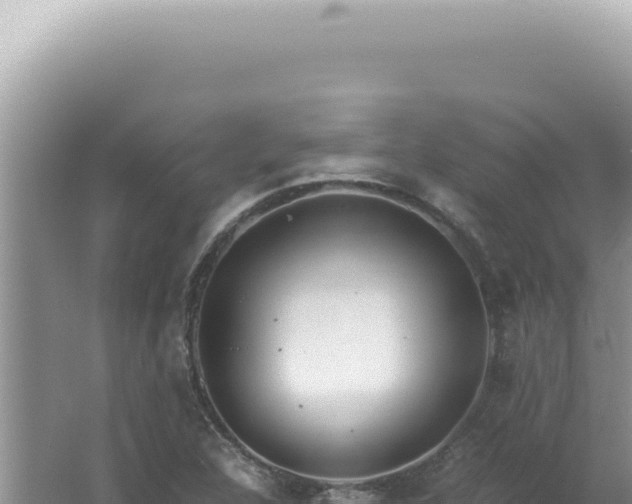 X0000061721312200512091950