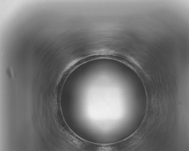 X0000061721315200512091950