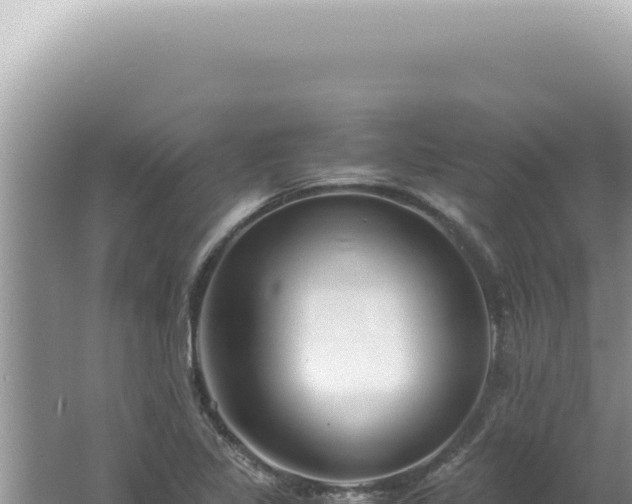 X0000061721317200512091950