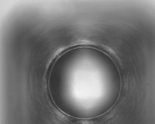 X0000061721318200512091950