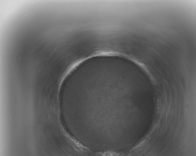 X0000061721319200512091950