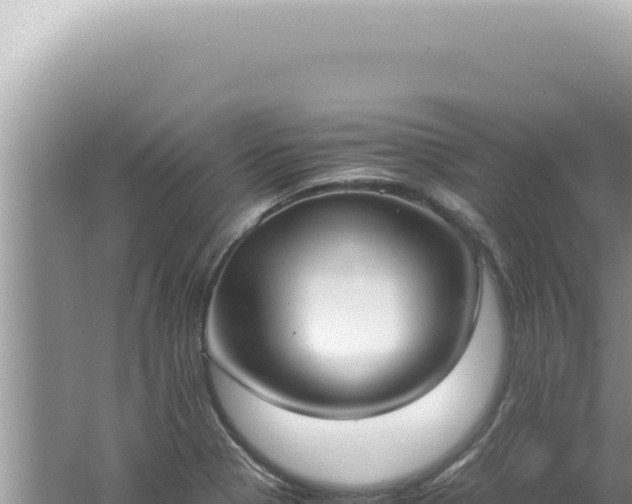 X0000061721321200512091950