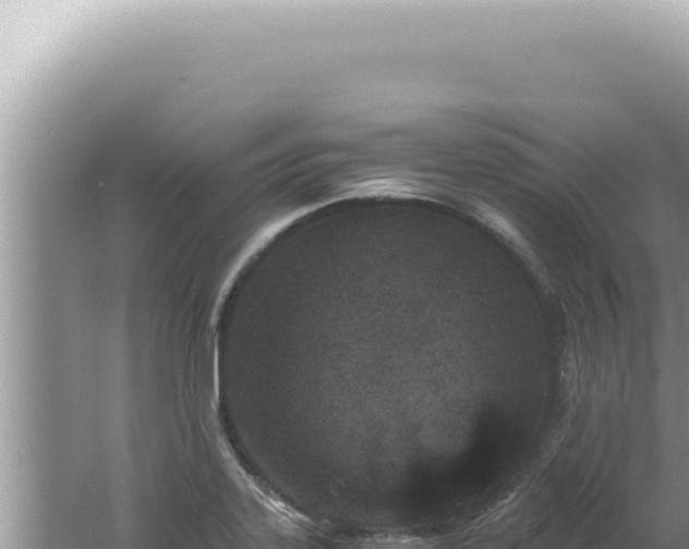 X0000061721323200512091950