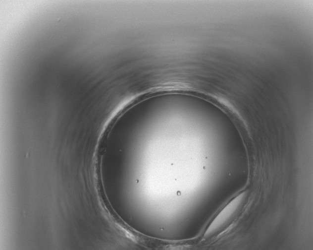 X0000061721325200512091950