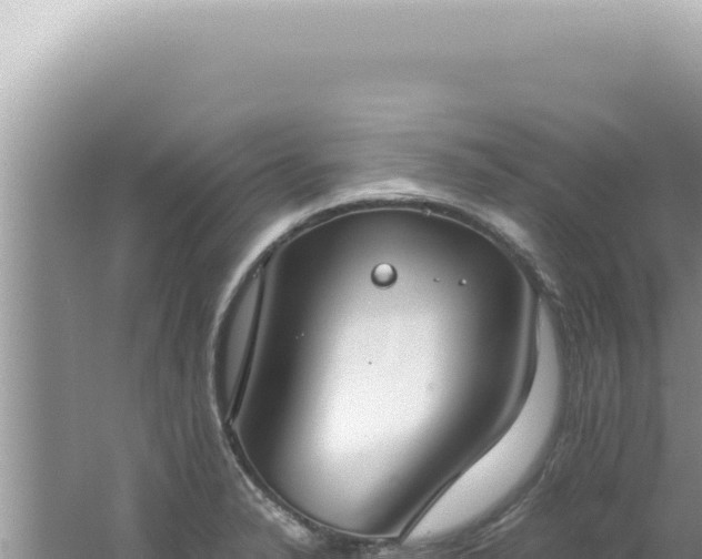 X0000061721326200512091950