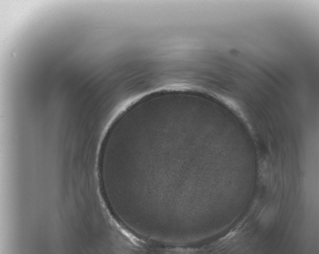 X0000061721327200512091950