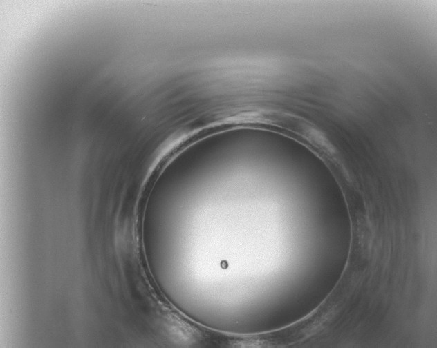 X0000061721328200512091950