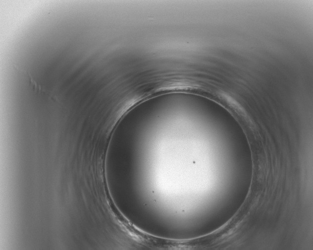 X0000061721329200512091950