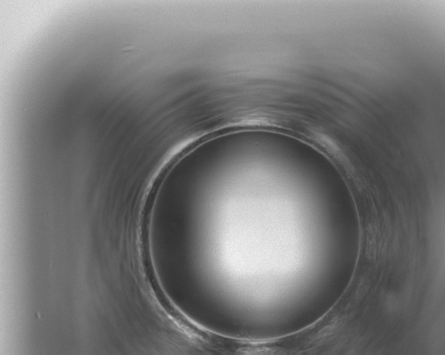 X0000061721331200512091950