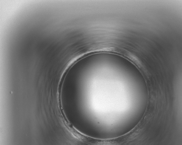 X0000061721332200512091950