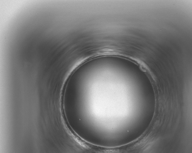 X0000061721333200512091950