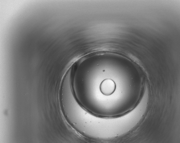 X0000061721338200512091950