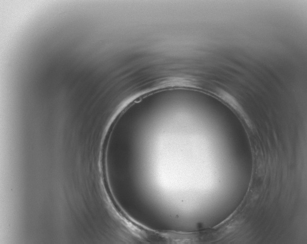 X0000061721339200512091950