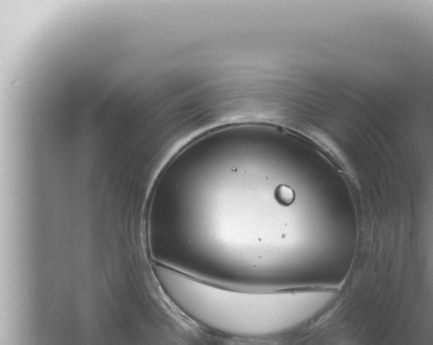 X0000061721340200512091950