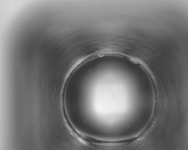 X0000061721341200512091950